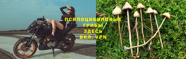 марки nbome Куйбышев