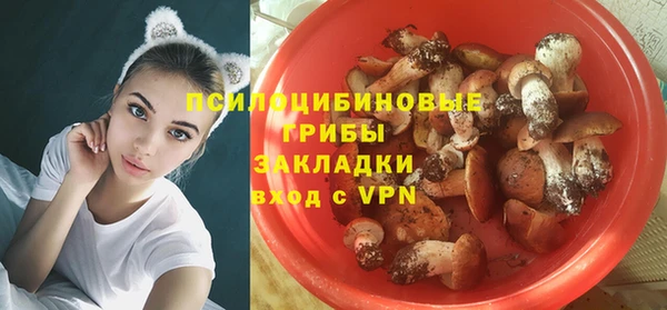 соль курить ск Кулебаки
